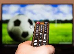 凯尔特人领,实力排行榜,森林狼紧随,欧亿体育官网,APP下载,注册领彩金,官方网站,网站入口