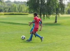 马特乌斯,多特表现不,佳非科瓦奇,欧亿体育官网,APP下载,注册领彩金,官方网站,网站入口