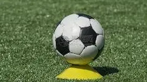 詹妮弗·劳伦斯晋升母亲行列，宝宝性别保密